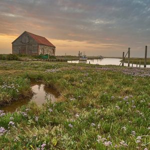Golden Hour by the Marsh